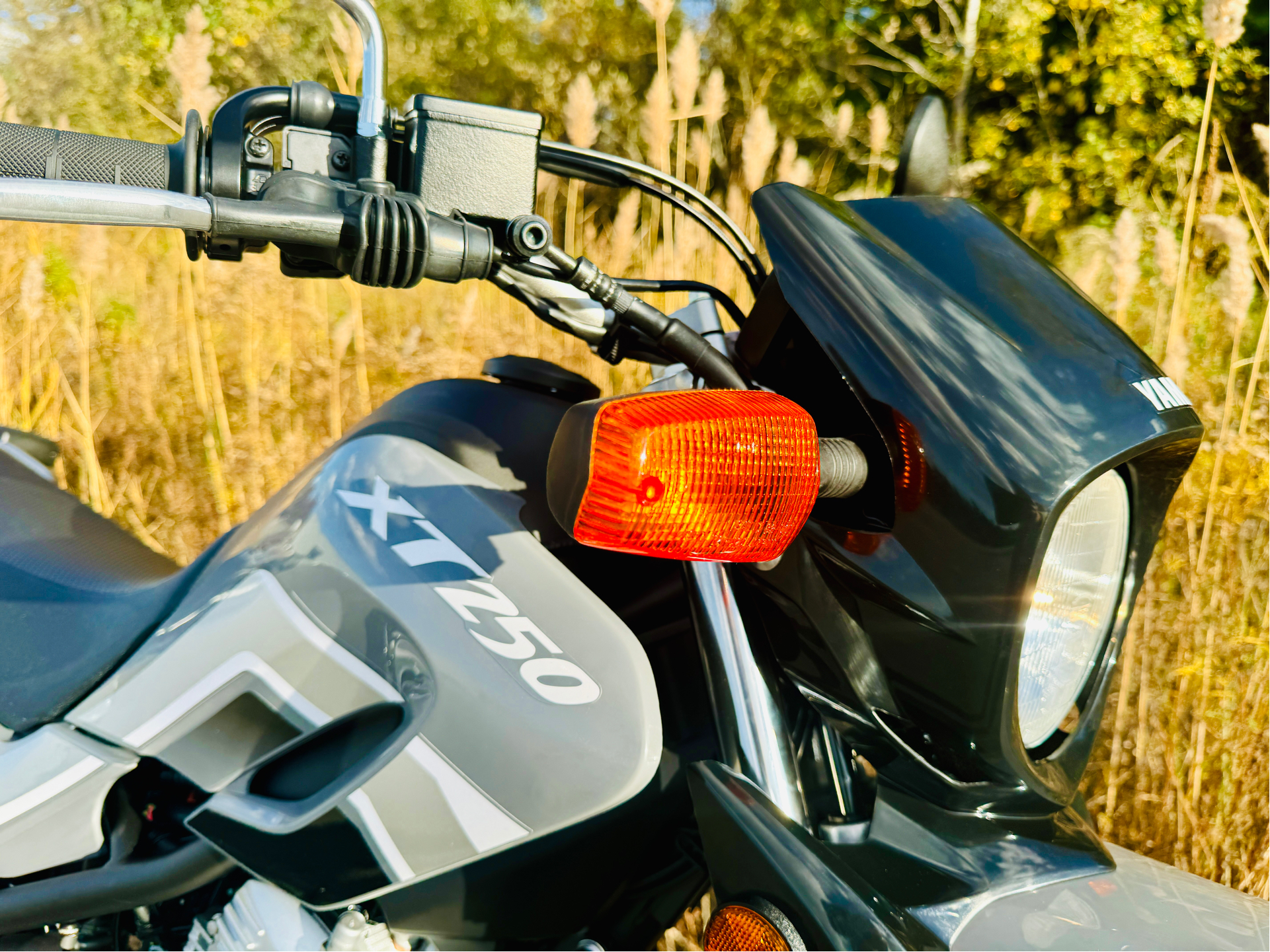 2025 Yamaha XT250 in Foxboro, Massachusetts - Photo 11