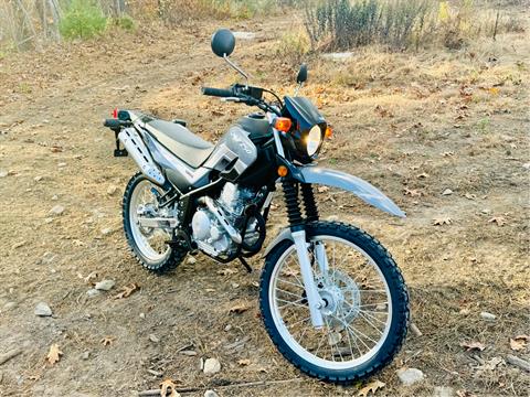 2025 Yamaha XT250 in Foxboro, Massachusetts - Photo 17