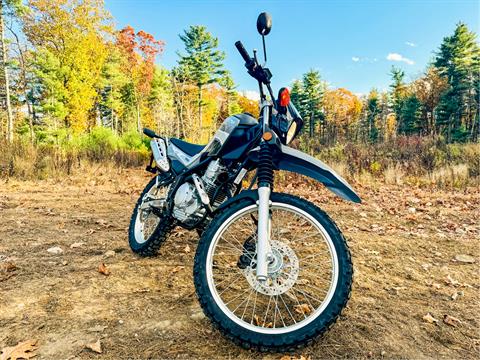 2025 Yamaha XT250 in Foxboro, Massachusetts - Photo 19
