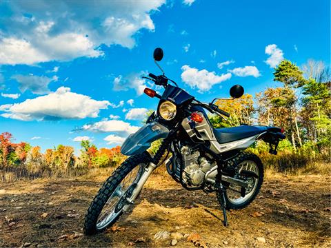 2025 Yamaha XT250 in Foxboro, Massachusetts - Photo 23