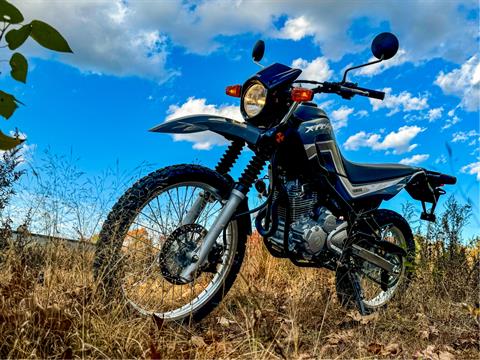 2025 Yamaha XT250 in Foxboro, Massachusetts - Photo 25