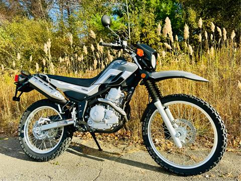 2025 Yamaha XT250 in Foxboro, Massachusetts - Photo 12