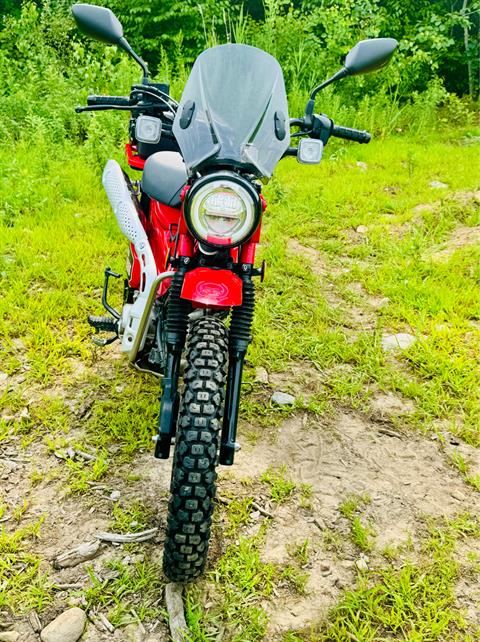 2022 Honda Trail125 in Foxboro, Massachusetts - Photo 13