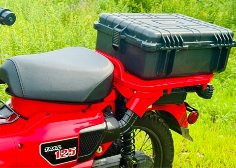 2022 Honda Trail125 in Foxboro, Massachusetts - Photo 8