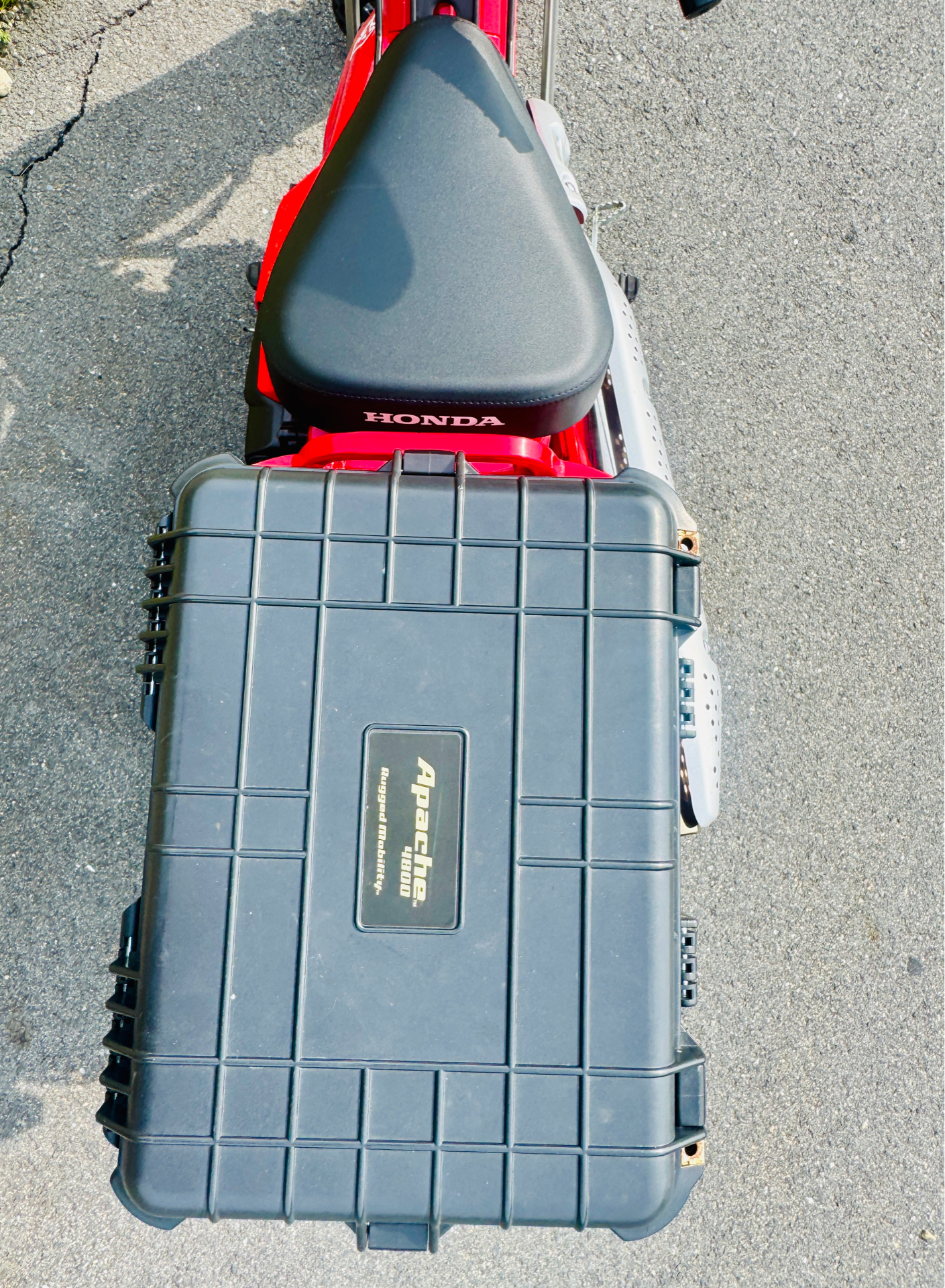 2022 Honda Trail125 in Foxboro, Massachusetts - Photo 10