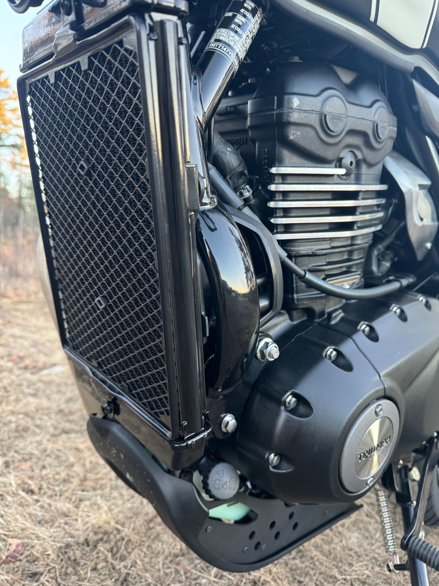 2025 Triumph Scrambler 400 X in Foxboro, Massachusetts - Photo 21