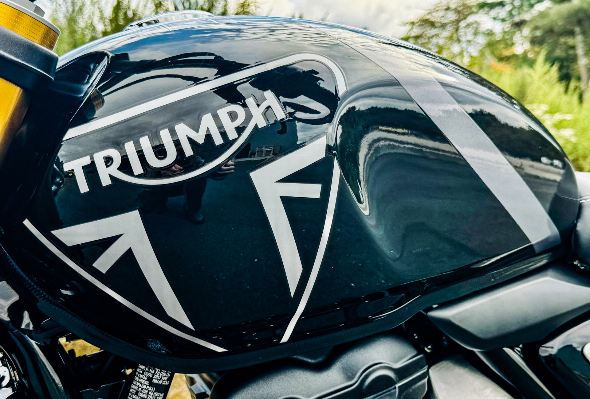 2024 Triumph Speed 400 in Foxboro, Massachusetts - Photo 10