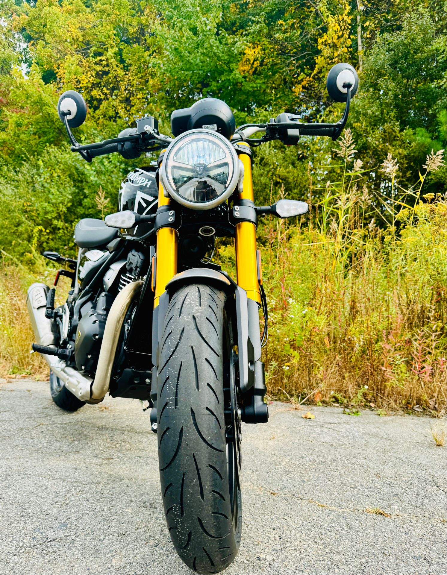 2024 Triumph Speed 400 in Foxboro, Massachusetts - Photo 11