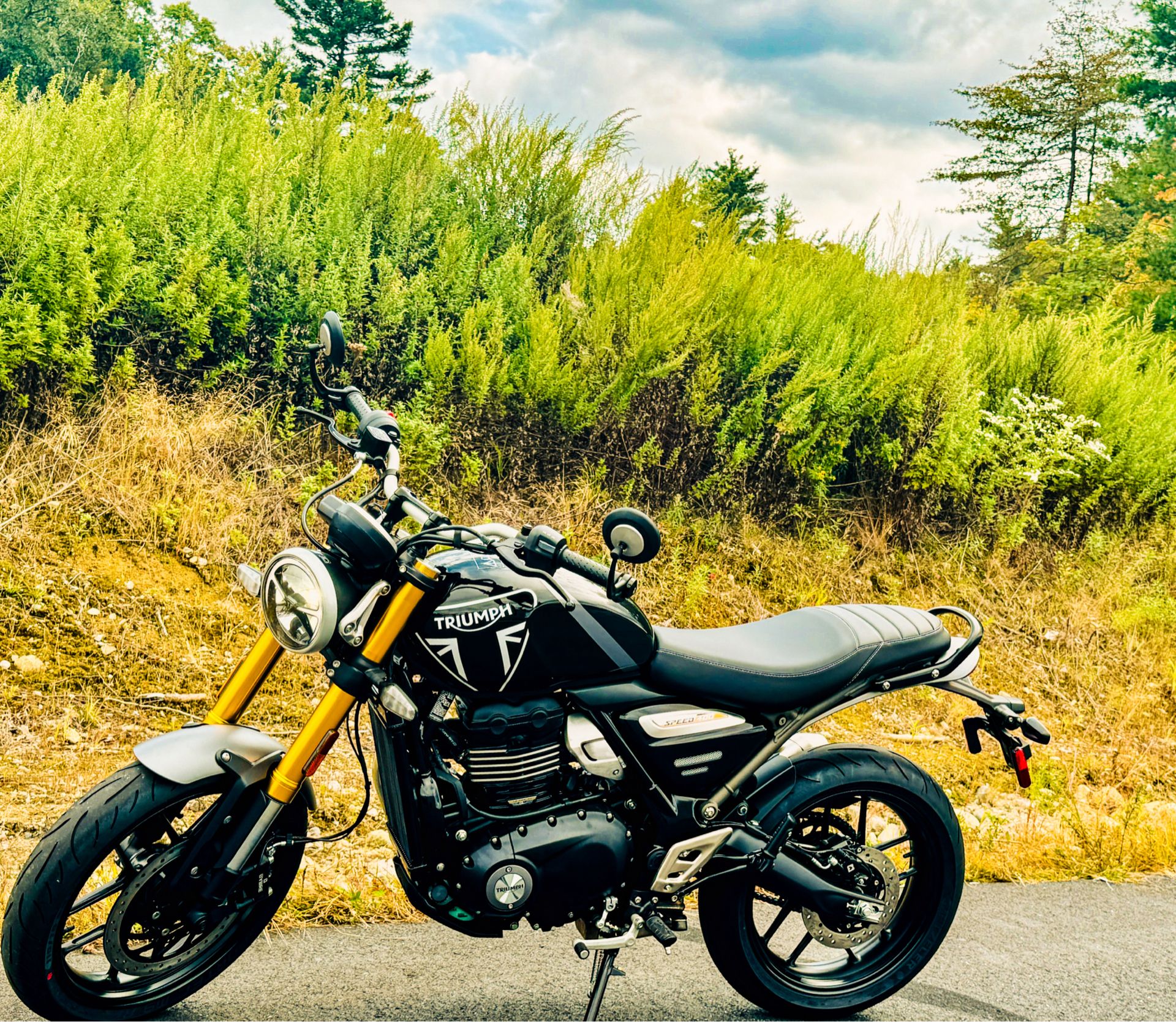 2024 Triumph Speed 400 in Foxboro, Massachusetts - Photo 13