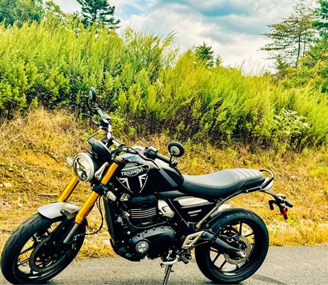 2024 Triumph Speed 400 in Foxboro, Massachusetts - Photo 13