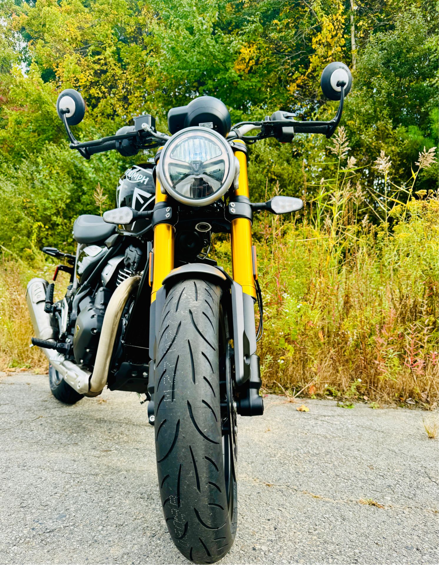 2024 Triumph Speed 400 in Foxboro, Massachusetts - Photo 9