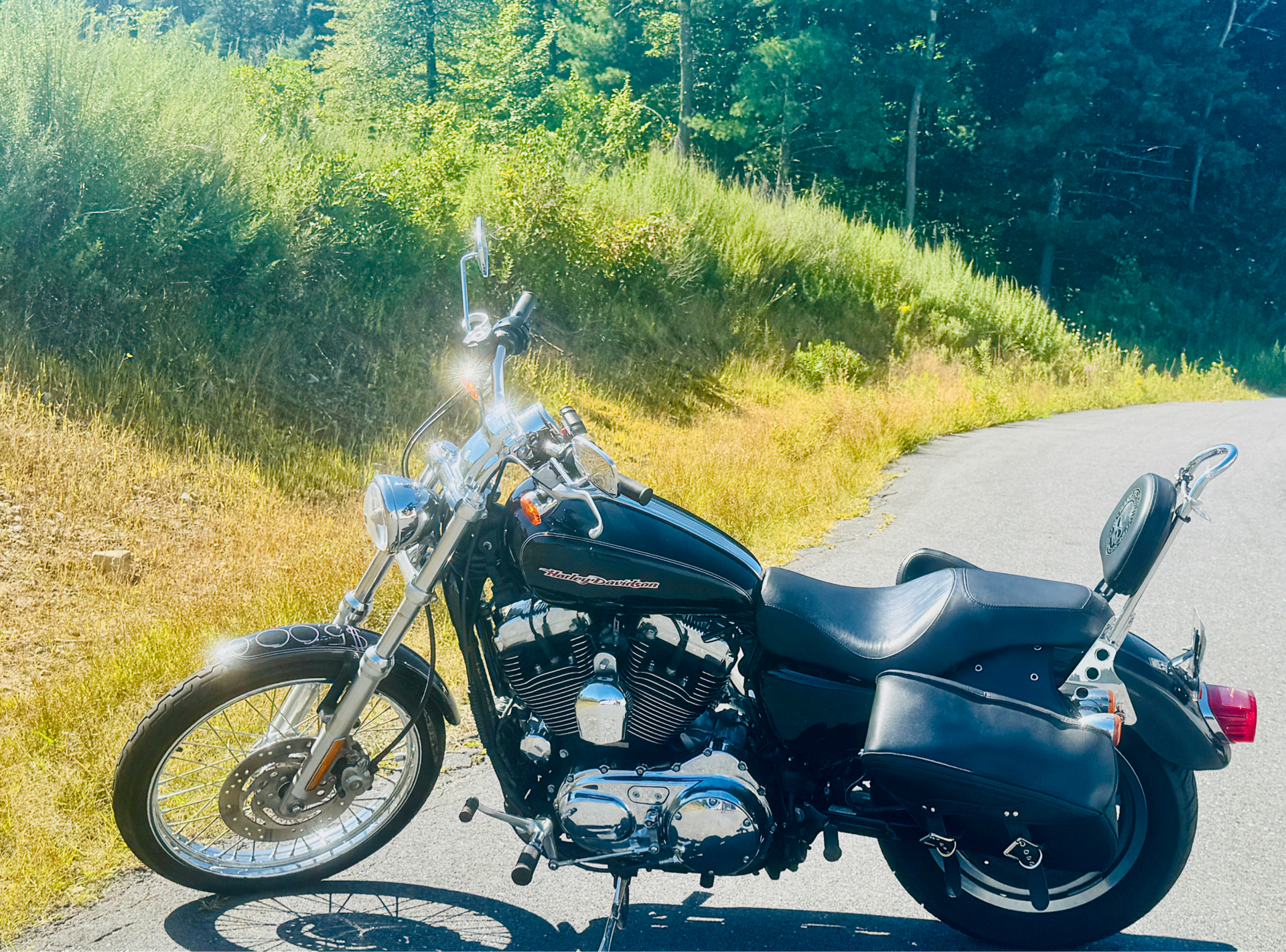 2007 Harley-Davidson XL 1200C Custom Patriot Special Edition in Foxboro, Massachusetts - Photo 1
