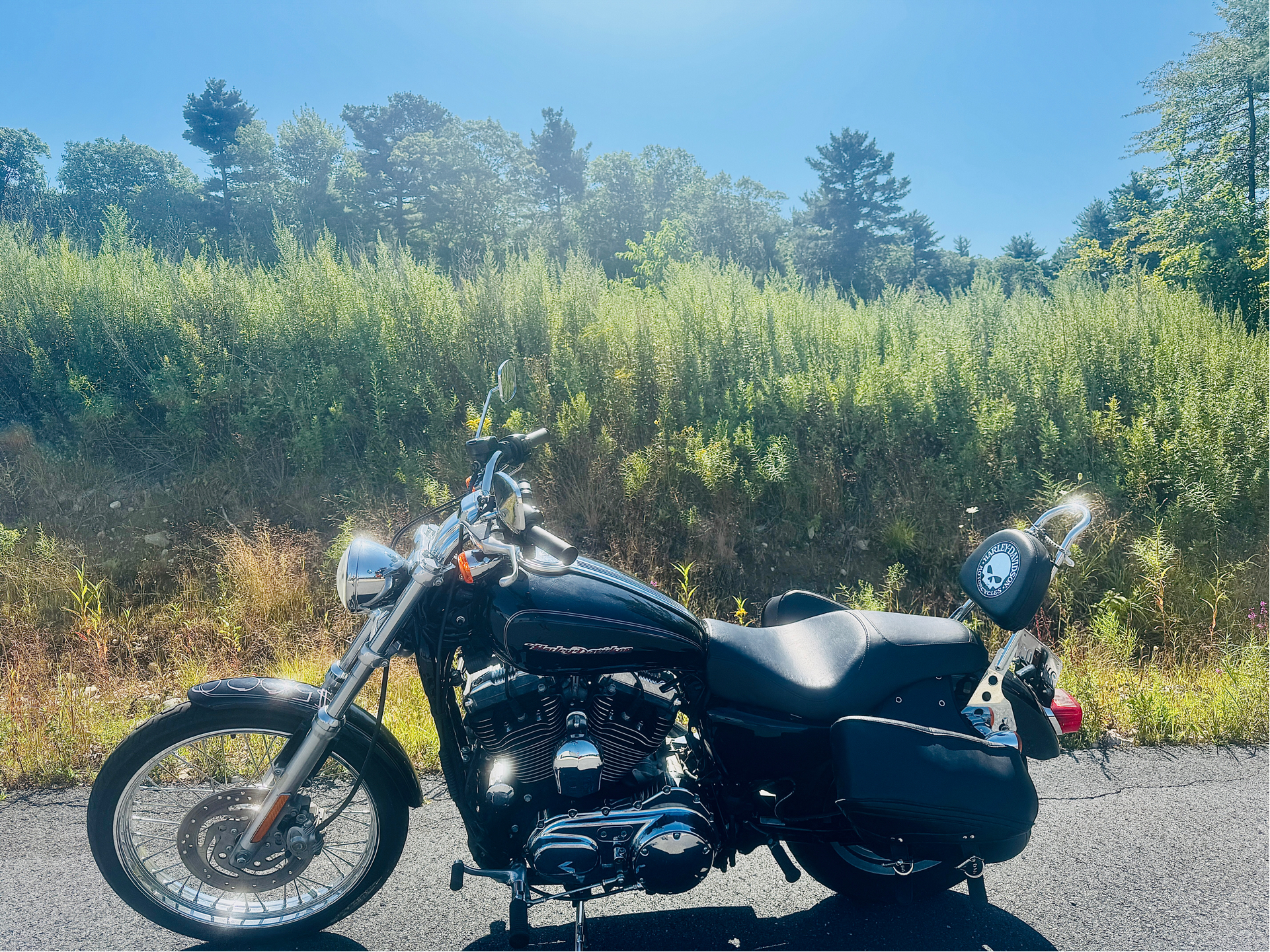2007 Harley-Davidson XL 1200C Custom Patriot Special Edition in Foxboro, Massachusetts - Photo 17