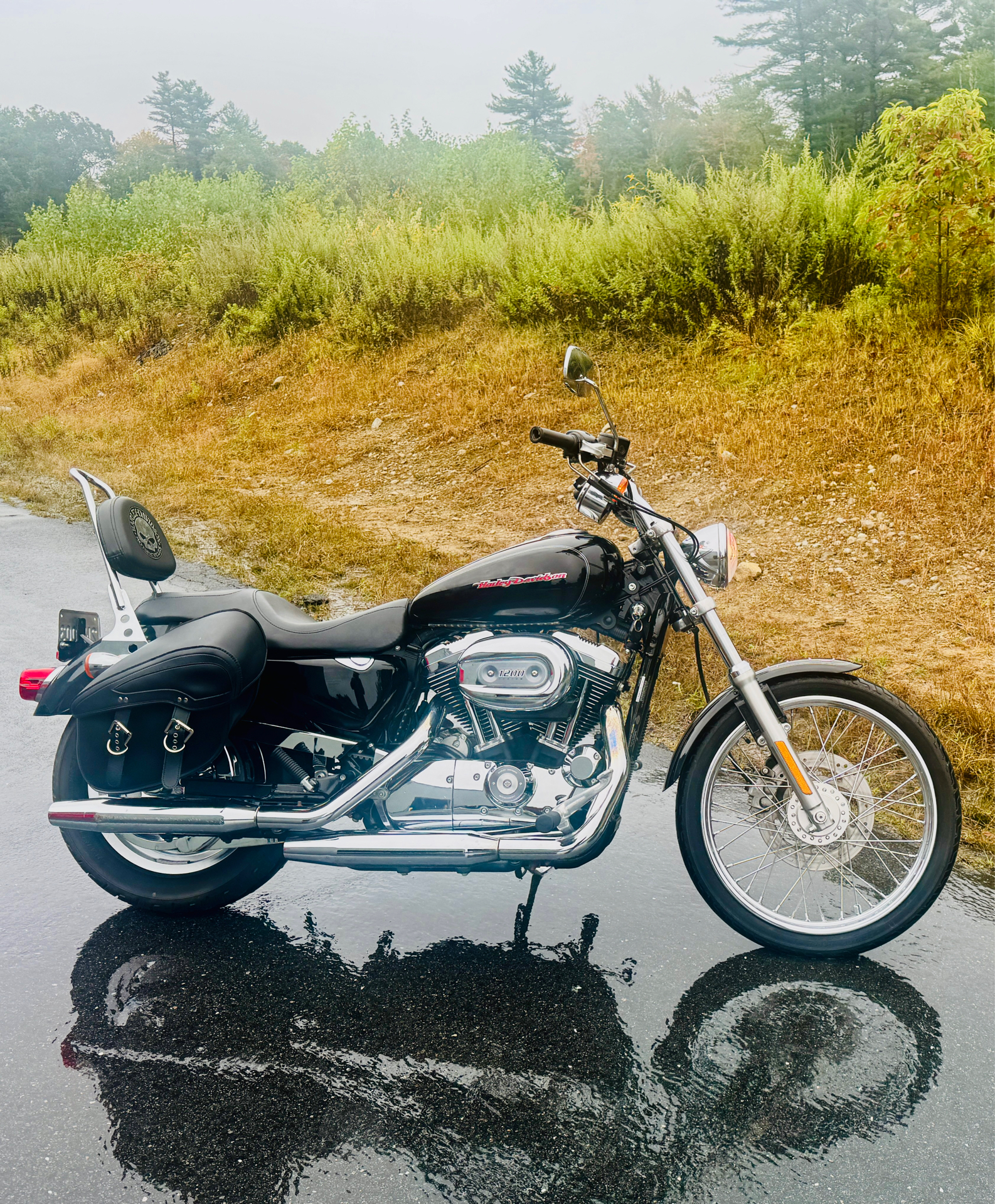 2007 Harley-Davidson XL 1200C Custom Patriot Special Edition in Foxboro, Massachusetts - Photo 20