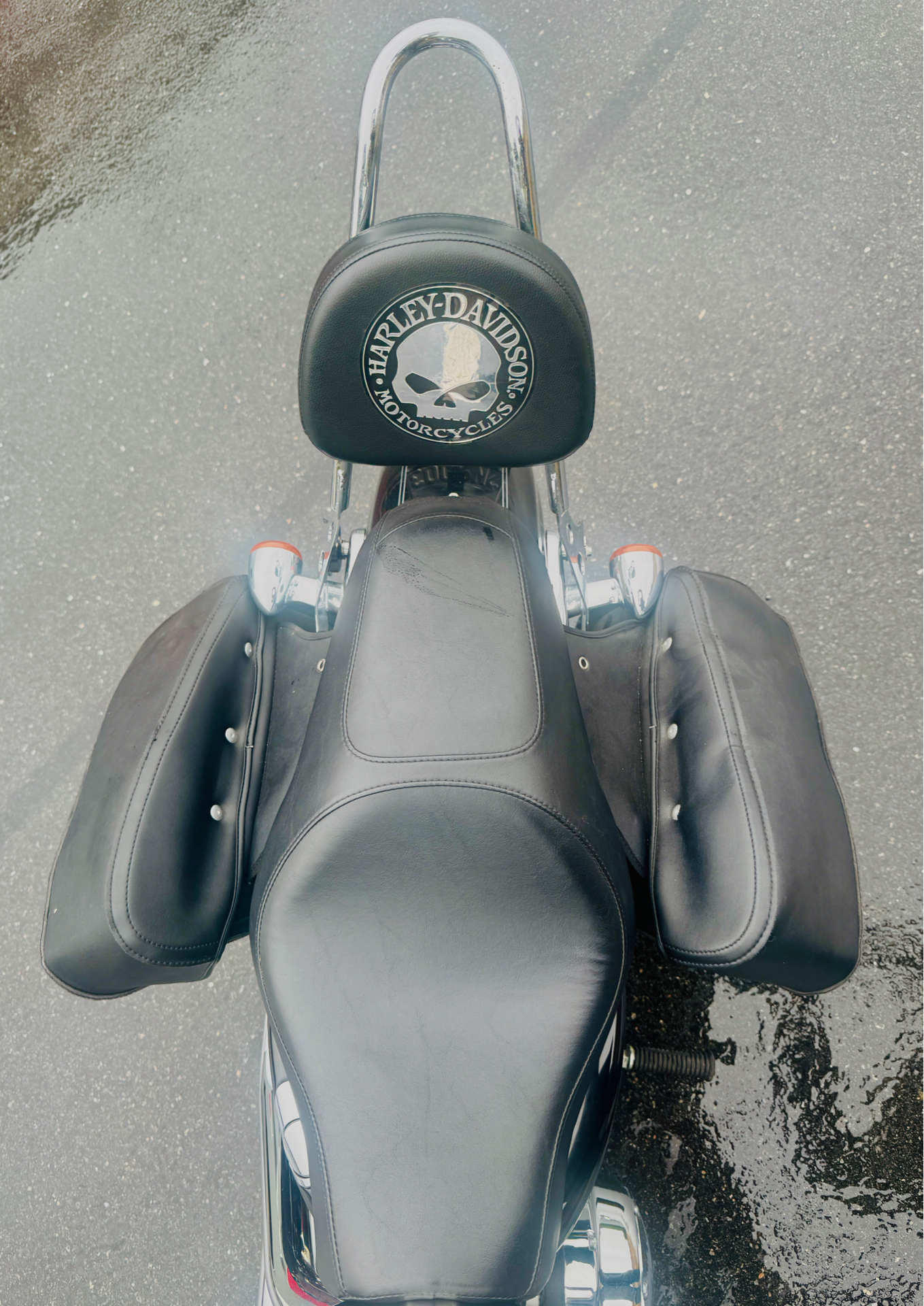 2007 Harley-Davidson XL 1200C Custom Patriot Special Edition in Foxboro, Massachusetts - Photo 2