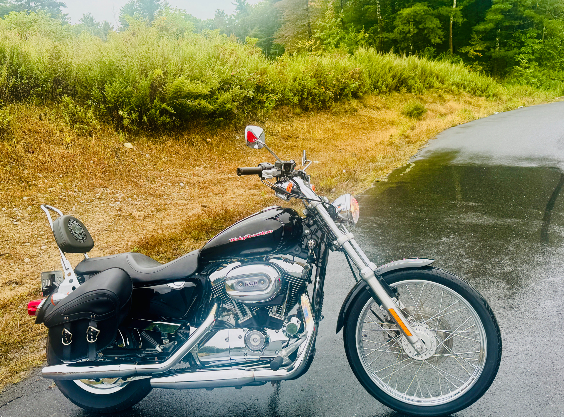 2007 Harley-Davidson XL 1200C Custom Patriot Special Edition in Foxboro, Massachusetts - Photo 7