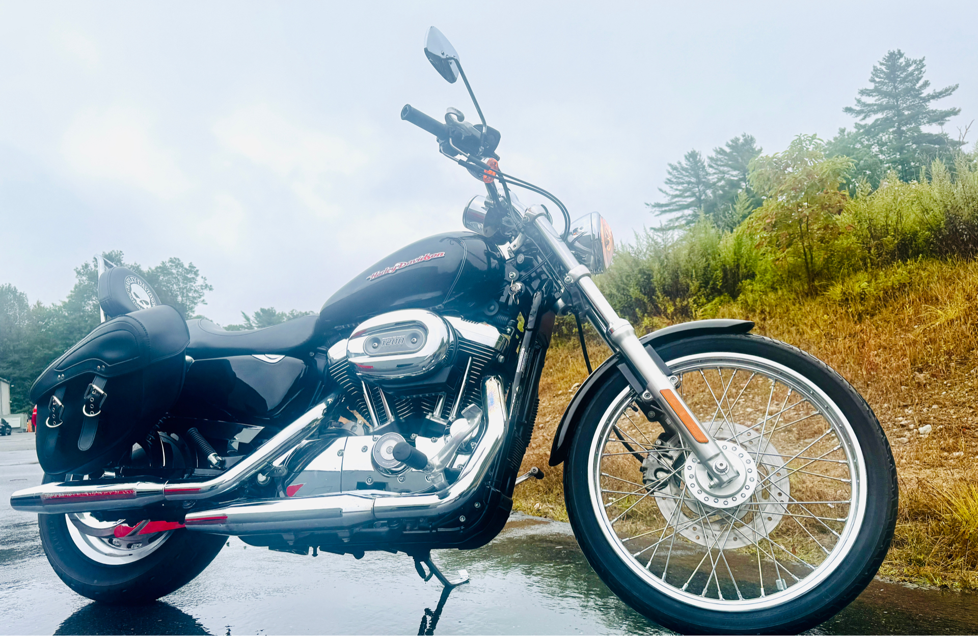 2007 Harley-Davidson XL 1200C Custom Patriot Special Edition in Foxboro, Massachusetts - Photo 3