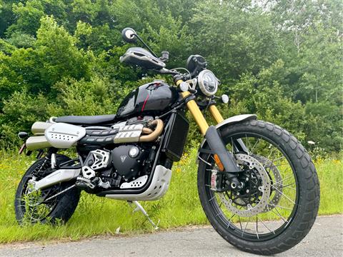 2024 Triumph Scrambler 1200 XE in Foxboro, Massachusetts - Photo 10