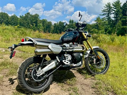2024 Triumph Scrambler 1200 XE in Foxboro, Massachusetts - Photo 5