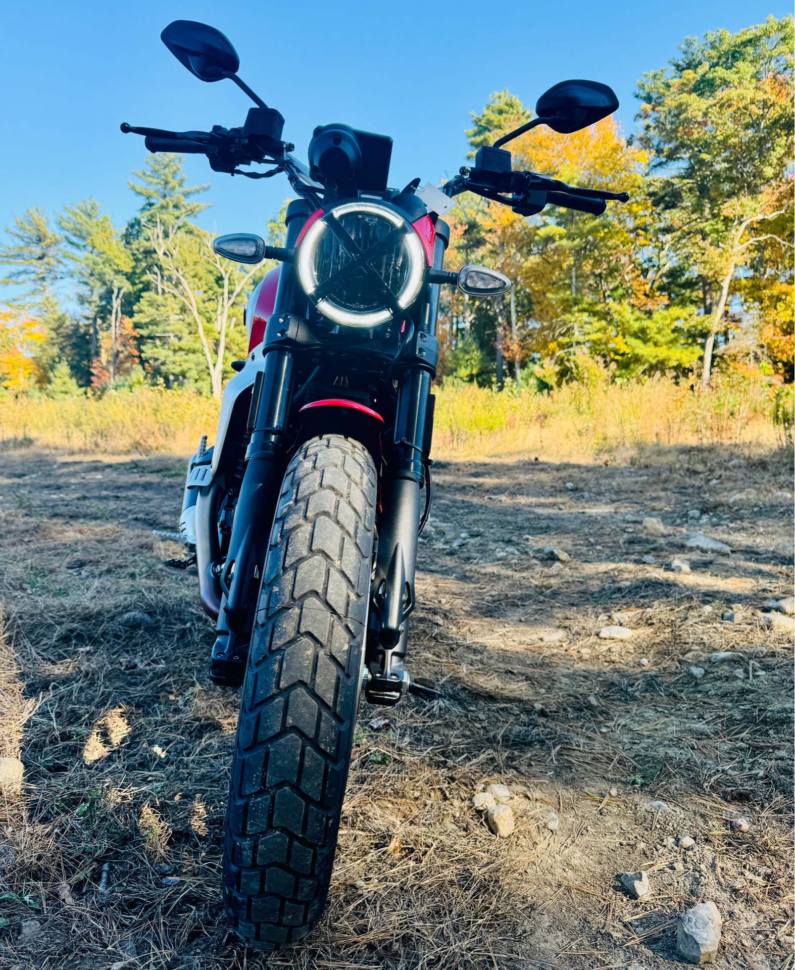 2025 Ducati Scrambler Icon in Foxboro, Massachusetts - Photo 10