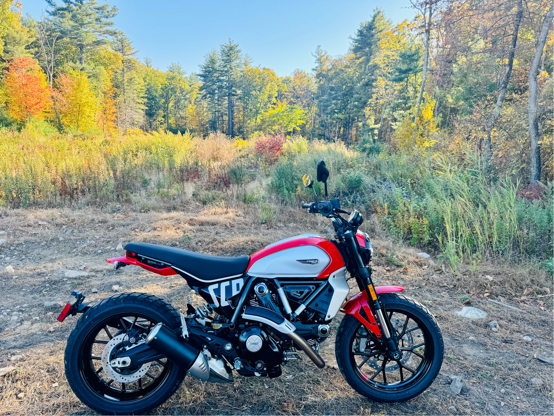 2025 Ducati Scrambler Icon in Foxboro, Massachusetts - Photo 14