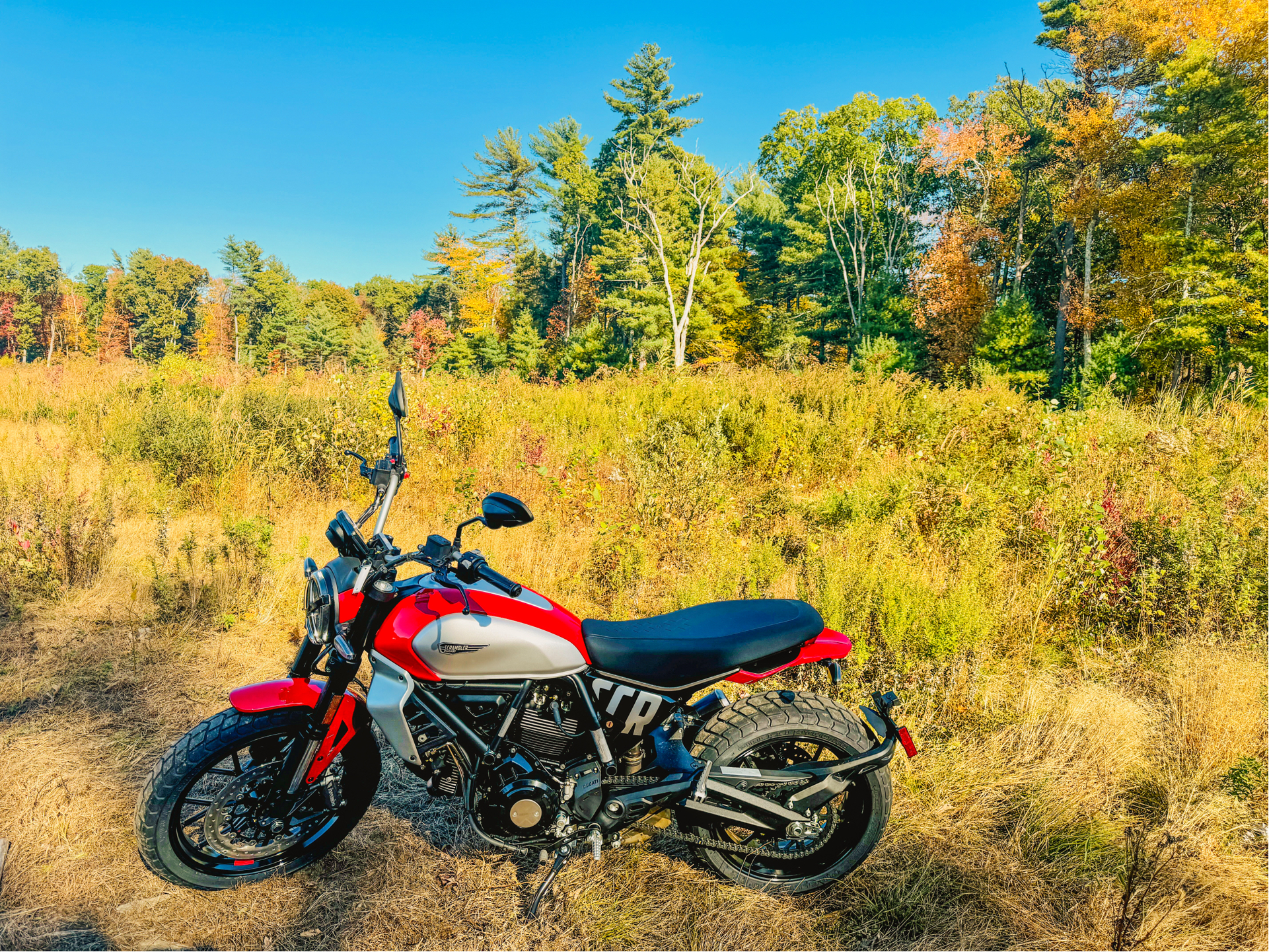 2025 Ducati Scrambler Icon in Foxboro, Massachusetts - Photo 18