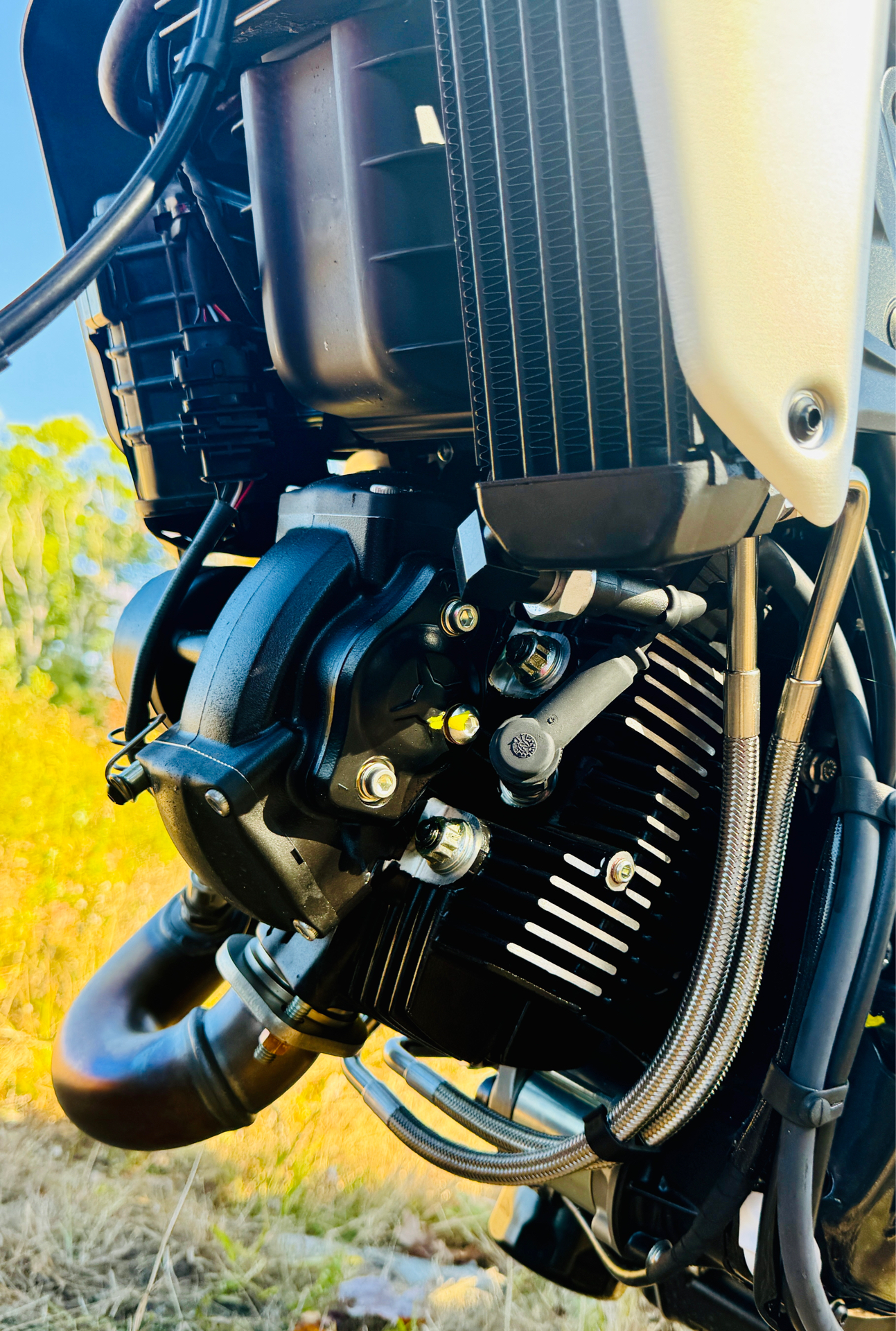 2025 Ducati Scrambler Icon in Foxboro, Massachusetts - Photo 15