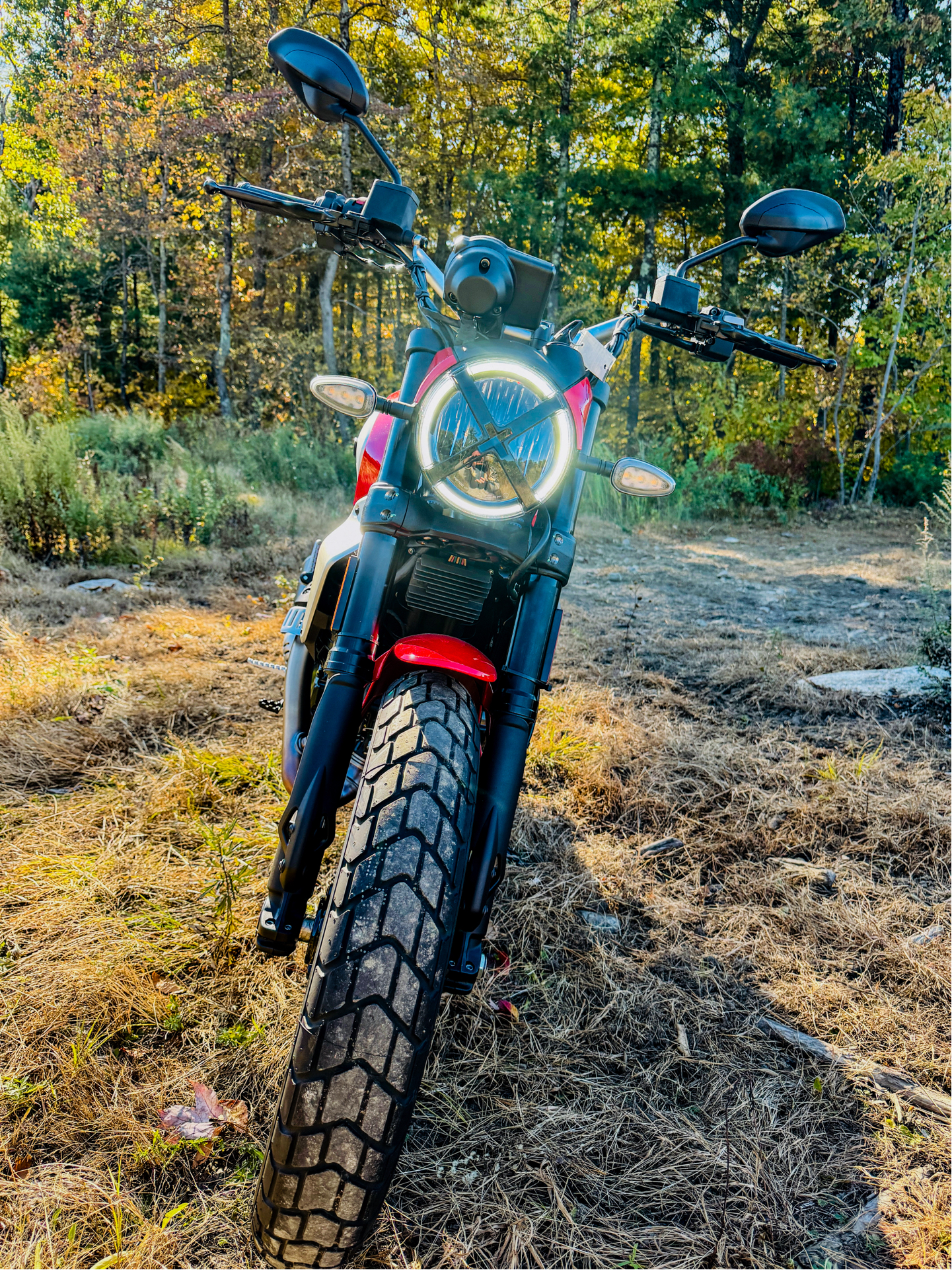 2025 Ducati Scrambler Icon in Foxboro, Massachusetts - Photo 29