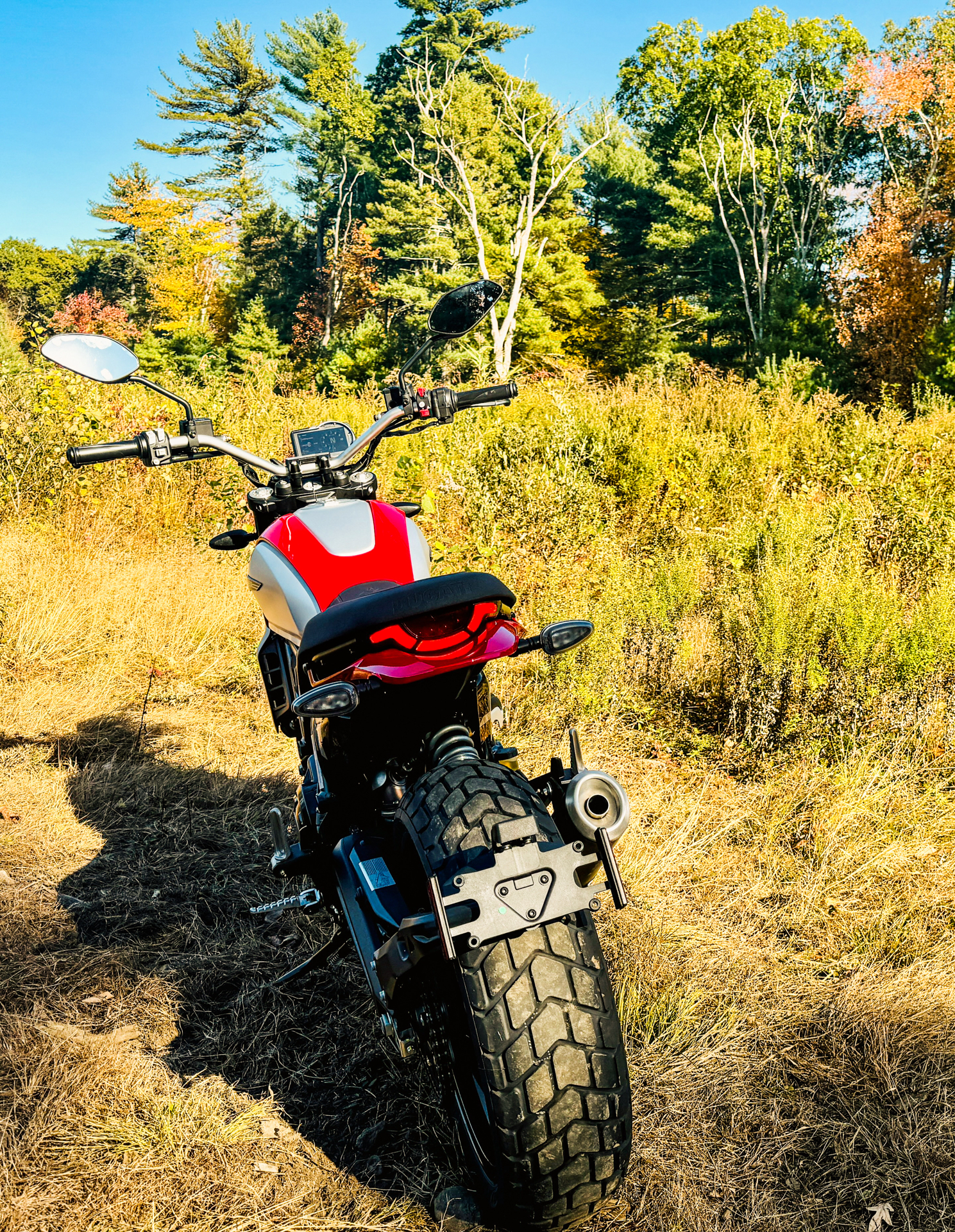 2025 Ducati Scrambler Icon in Foxboro, Massachusetts - Photo 40