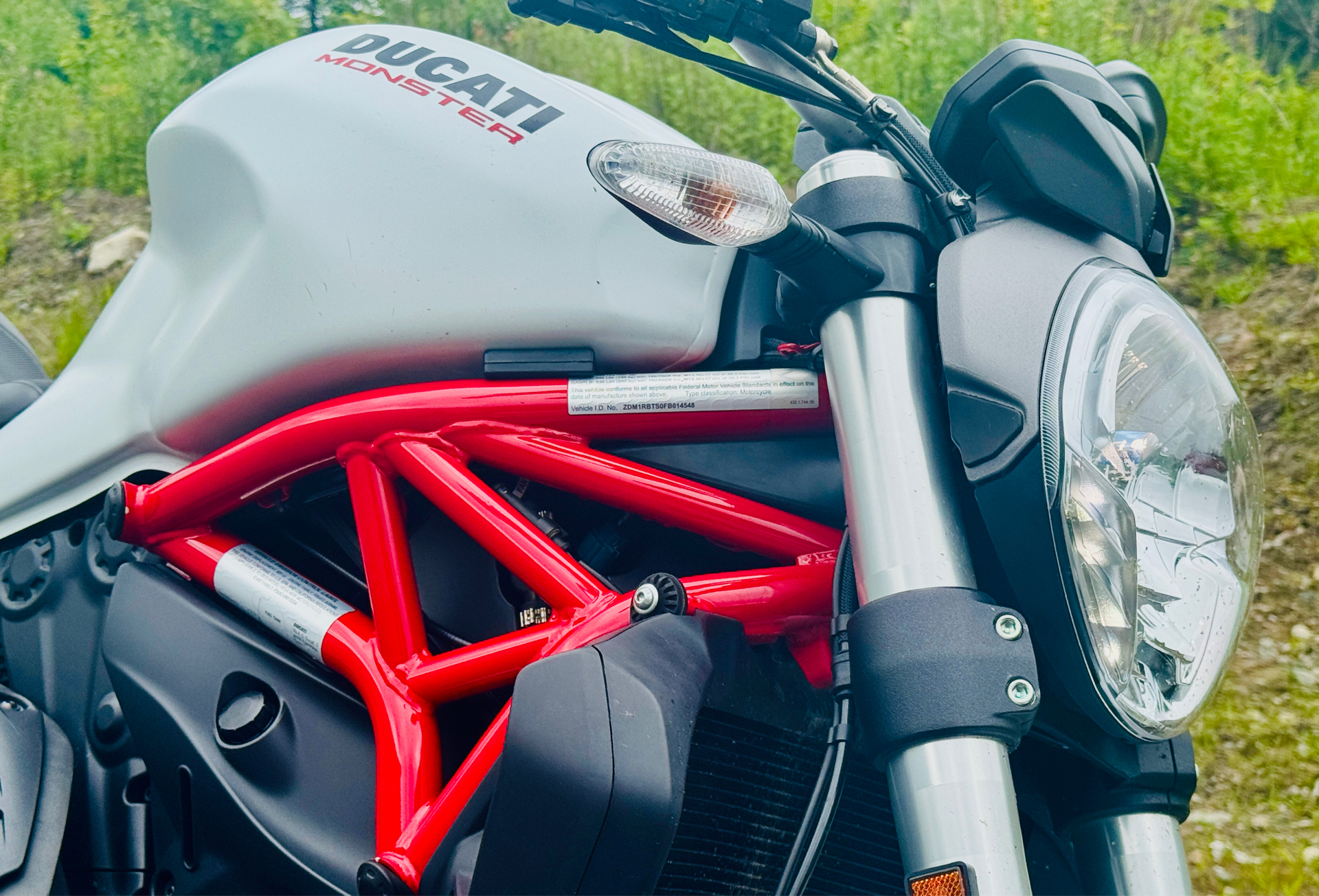 2015 Ducati Monster 821 in Foxboro, Massachusetts - Photo 9
