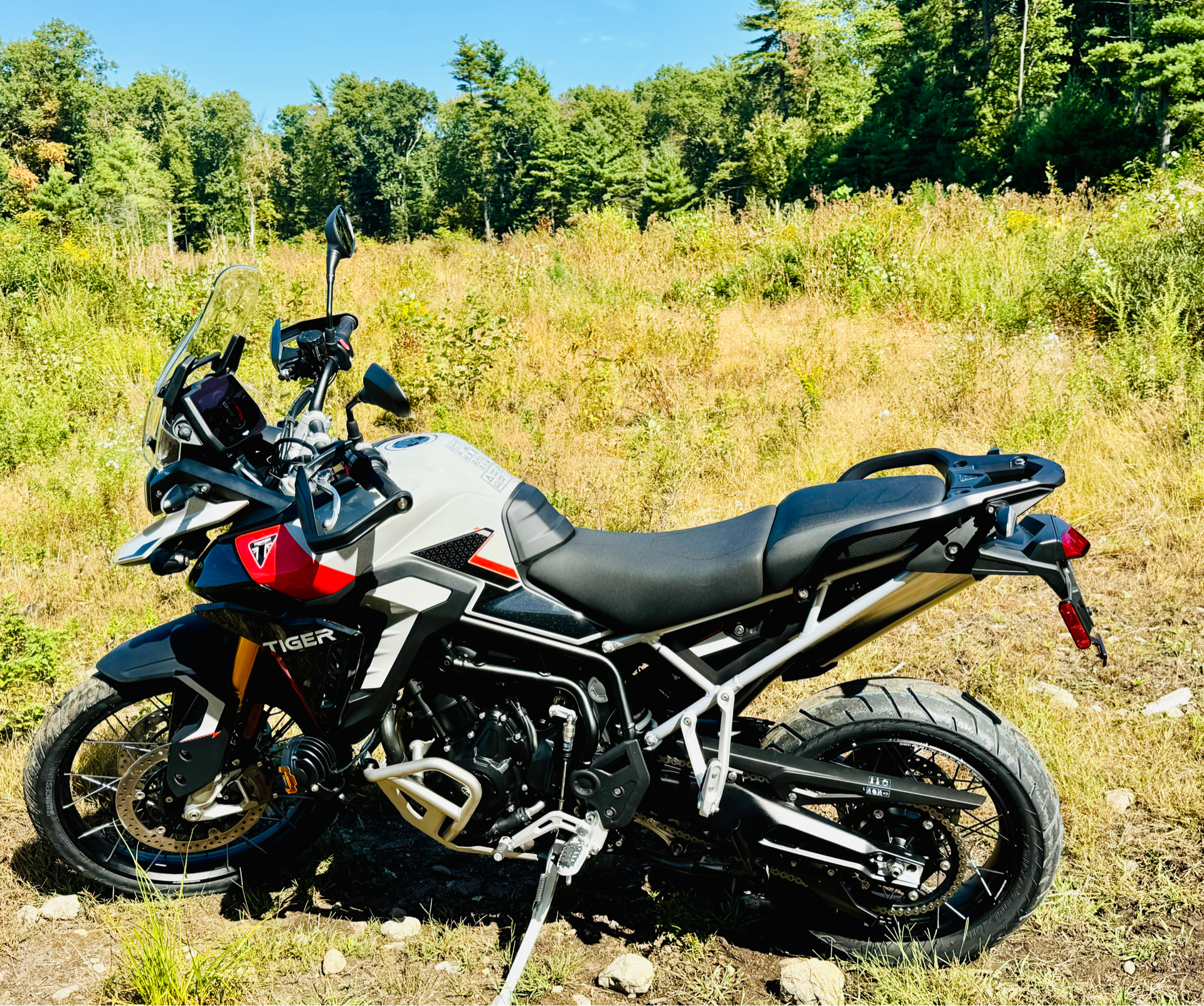 2024 Triumph Tiger 900 Rally Pro in Foxboro, Massachusetts - Photo 27