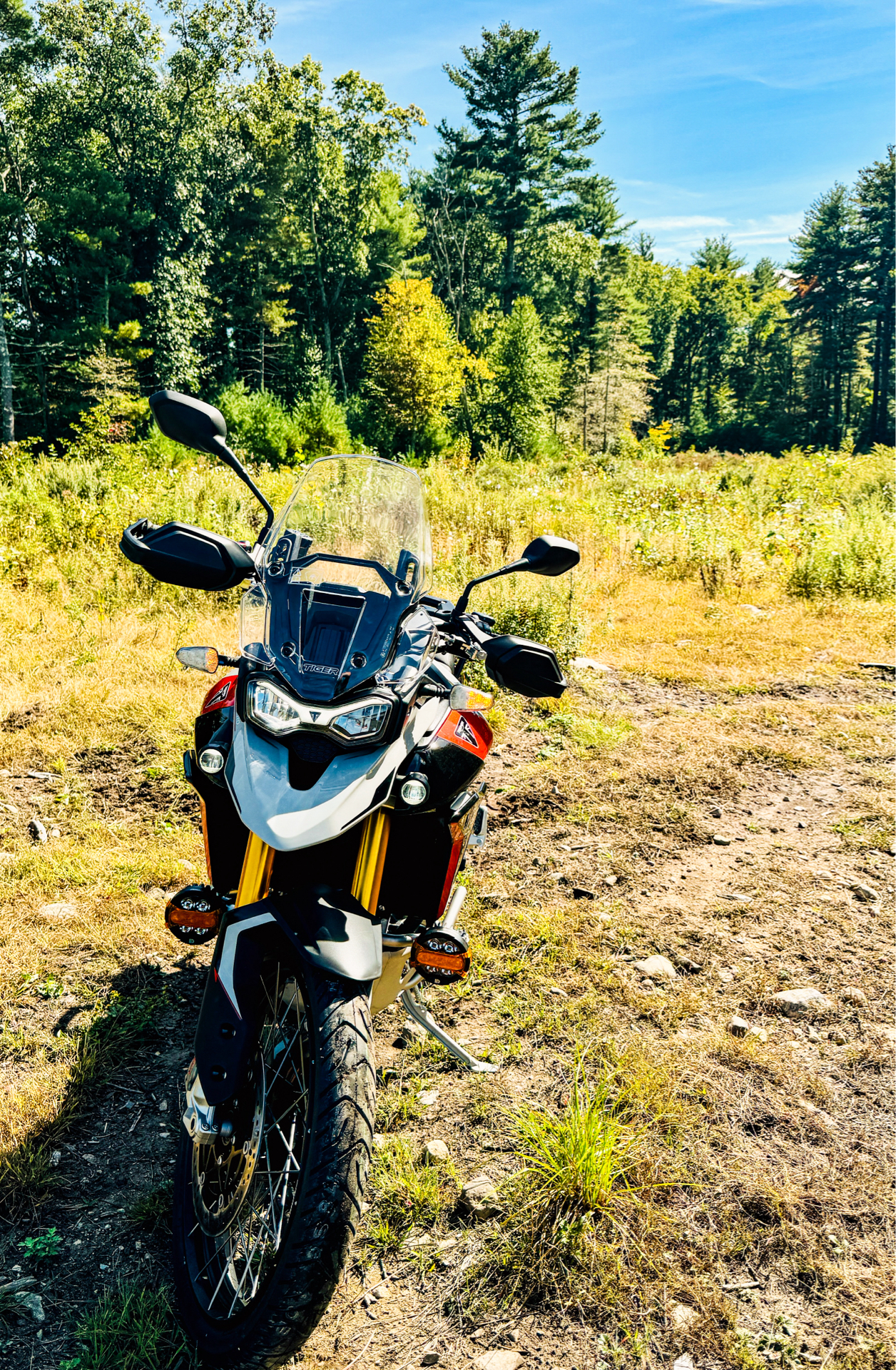 2024 Triumph Tiger 900 Rally Pro in Foxboro, Massachusetts - Photo 30