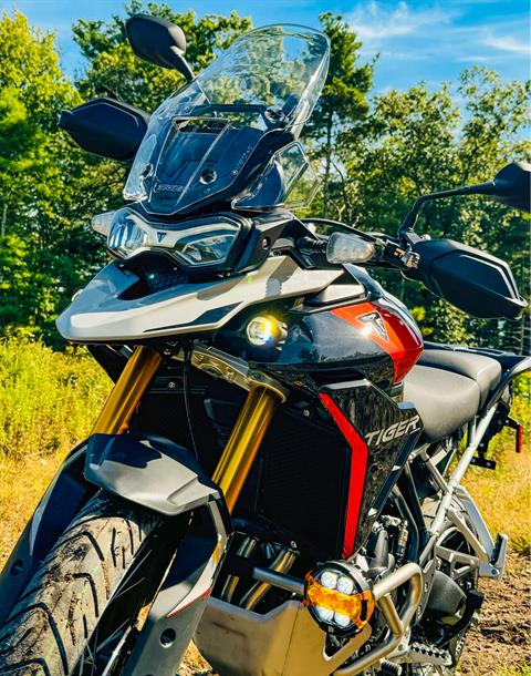 2024 Triumph Tiger 900 Rally Pro in Foxboro, Massachusetts - Photo 12