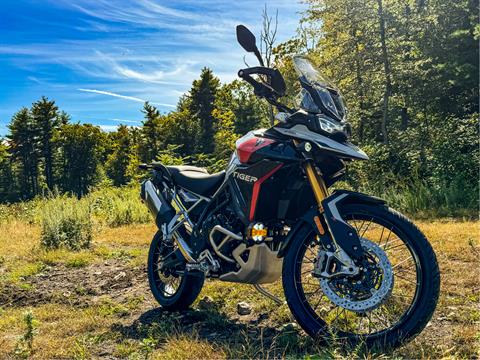 2024 Triumph Tiger 900 Rally Pro in Foxboro, Massachusetts - Photo 29