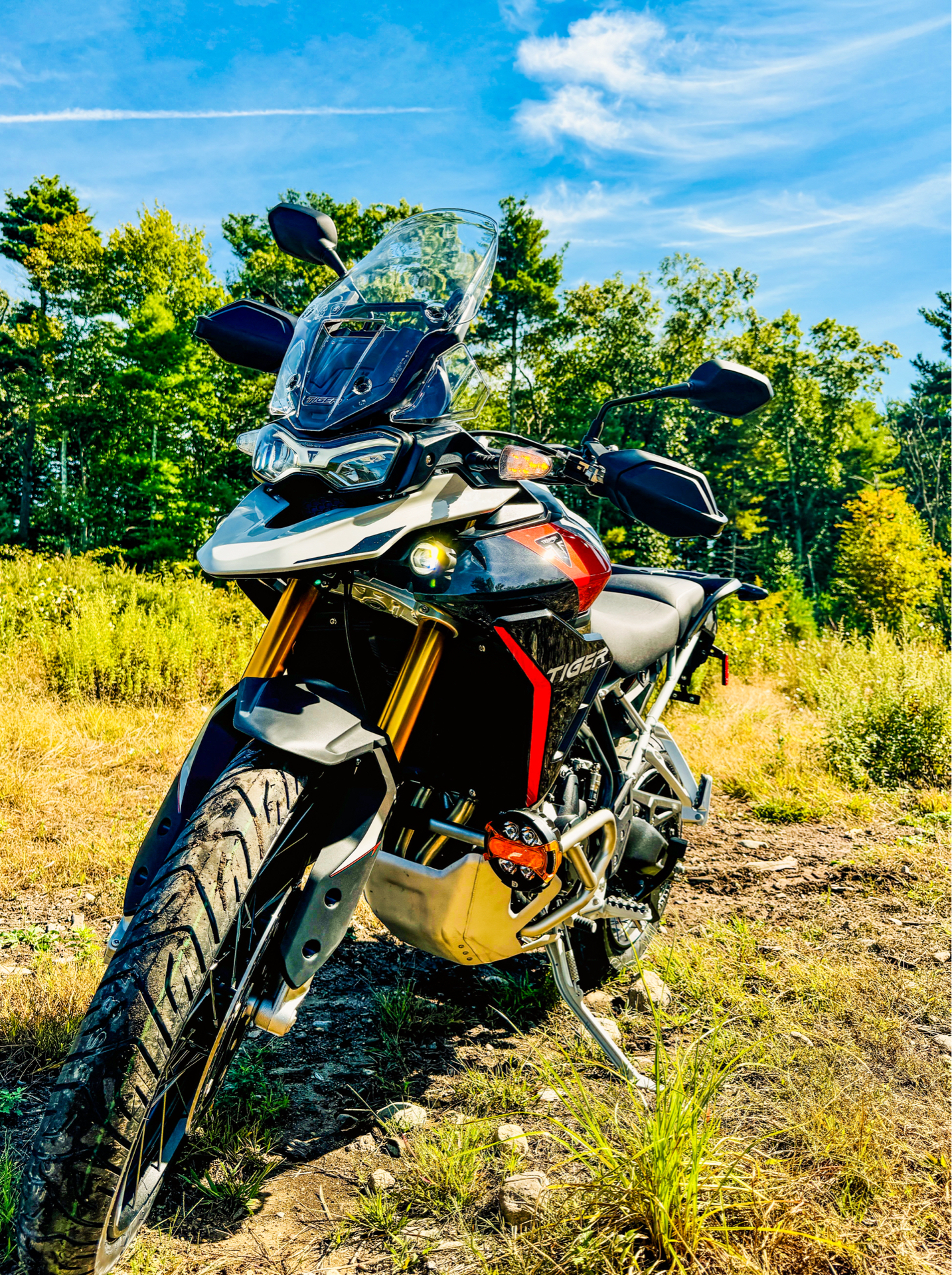 2024 Triumph Tiger 900 Rally Pro in Foxboro, Massachusetts - Photo 15