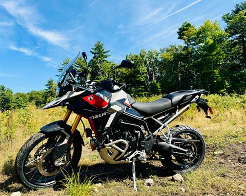 2024 Triumph Tiger 900 Rally Pro in Foxboro, Massachusetts - Photo 38