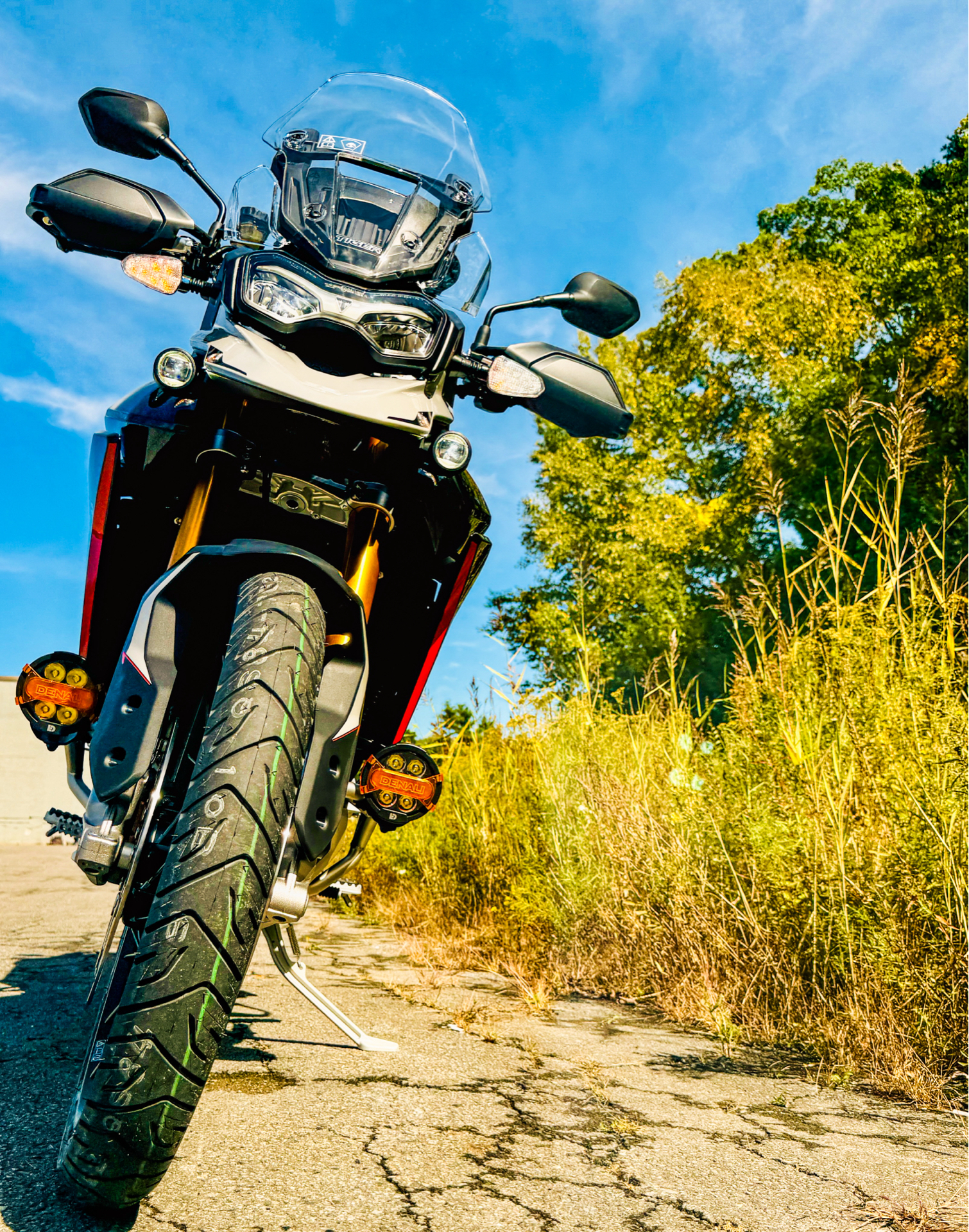 2024 Triumph Tiger 900 Rally Pro in Foxboro, Massachusetts - Photo 19