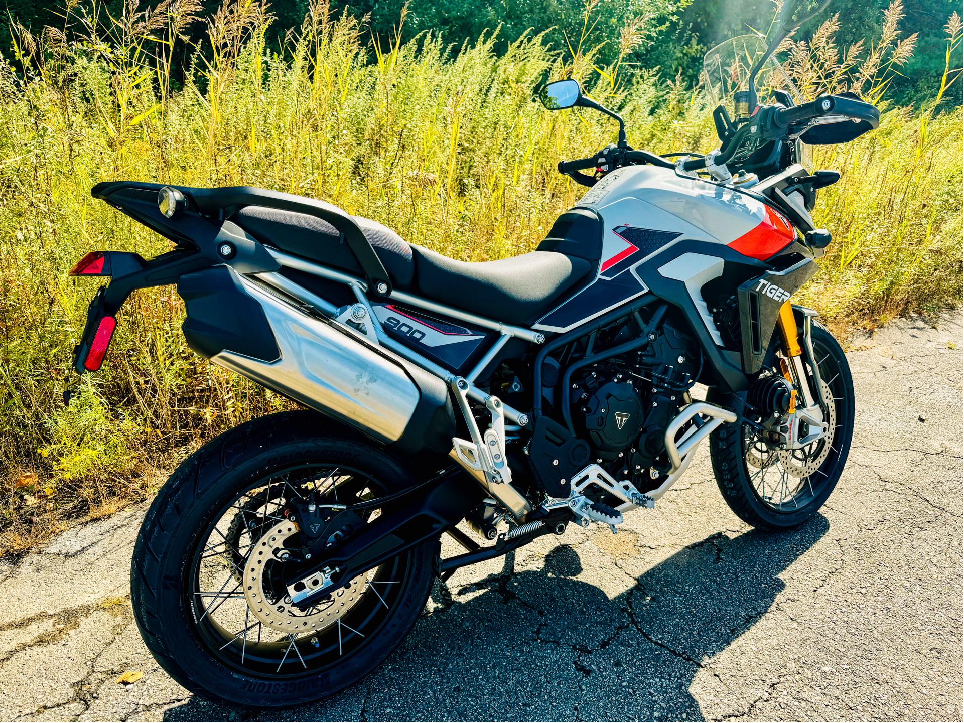 2024 Triumph Tiger 900 Rally Pro in Foxboro, Massachusetts - Photo 13