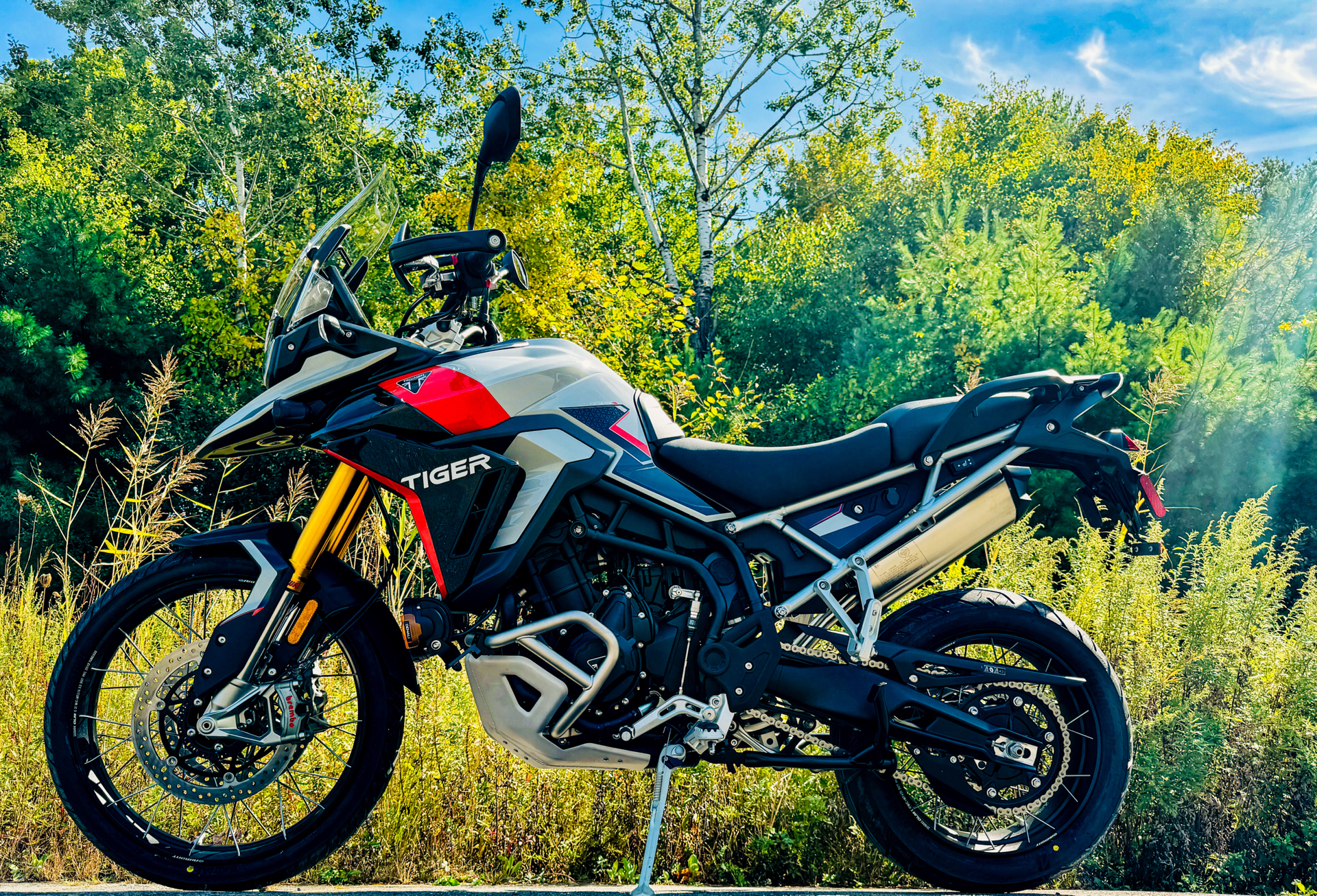 2024 Triumph Tiger 900 Rally Pro in Foxboro, Massachusetts - Photo 1