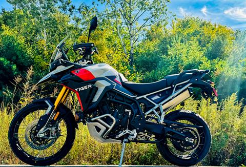 2024 Triumph Tiger 900 Rally Pro in Foxboro, Massachusetts