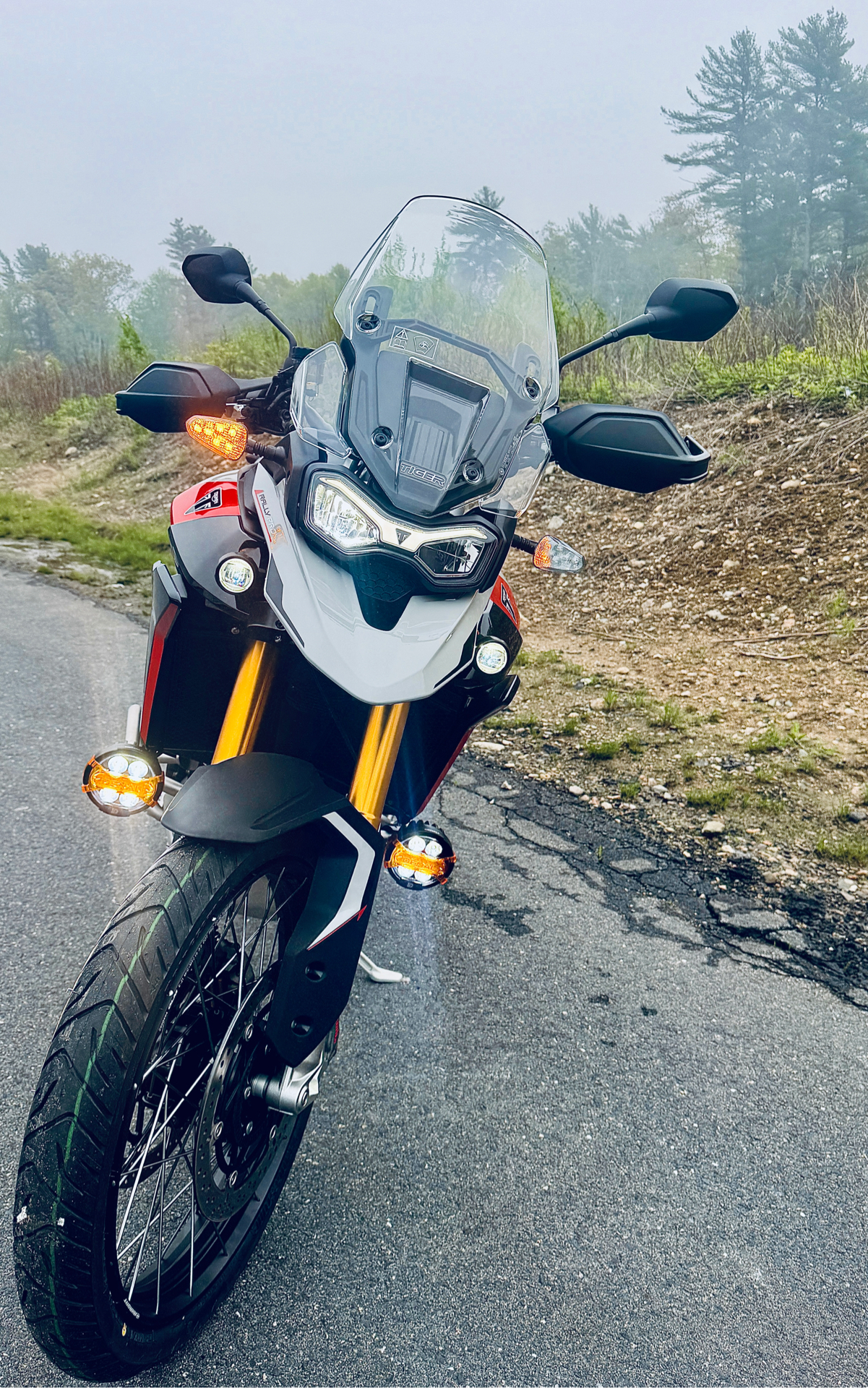 2024 Triumph Tiger 900 Rally Pro in Foxboro, Massachusetts - Photo 6