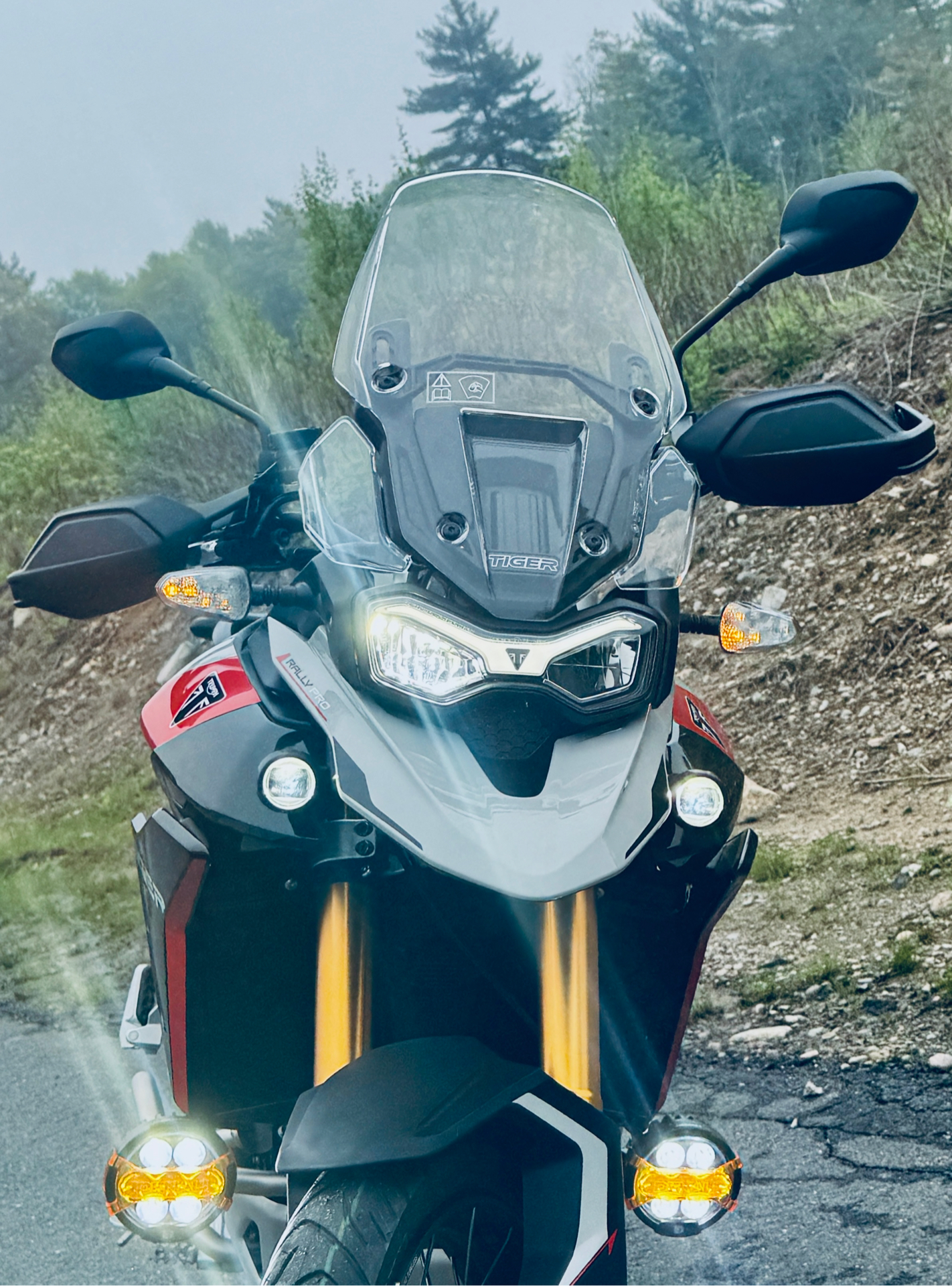 2024 Triumph Tiger 900 Rally Pro in Foxboro, Massachusetts - Photo 2