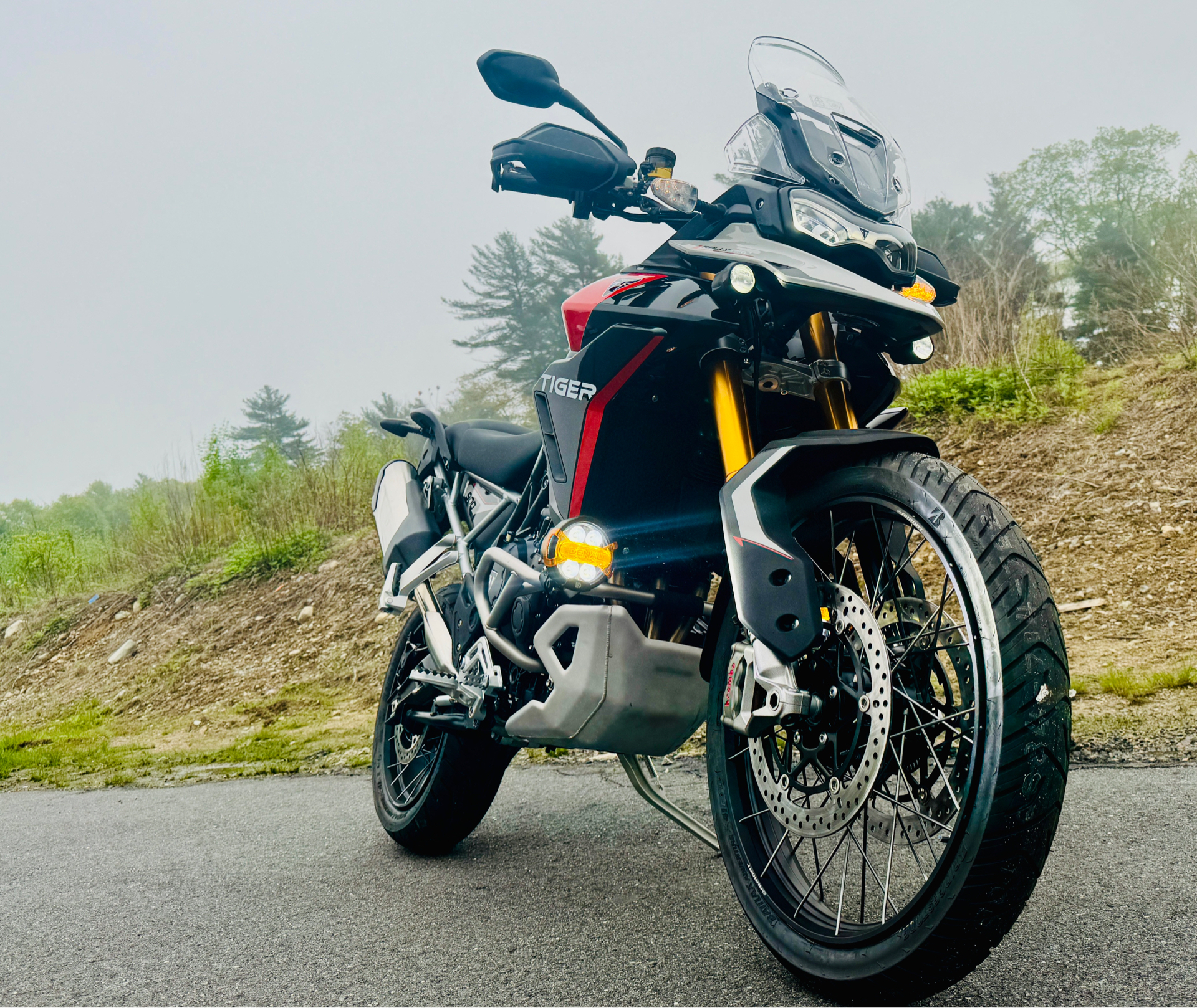 2024 Triumph Tiger 900 Rally Pro in Foxboro, Massachusetts - Photo 22