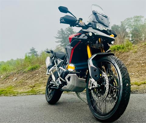 2024 Triumph Tiger 900 Rally Pro in Foxboro, Massachusetts - Photo 22