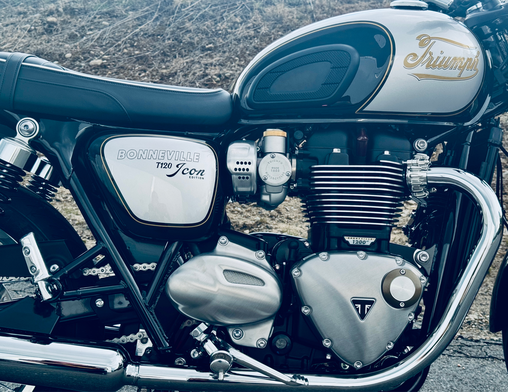 2025 Triumph Bonneville T120 in Foxboro, Massachusetts - Photo 12