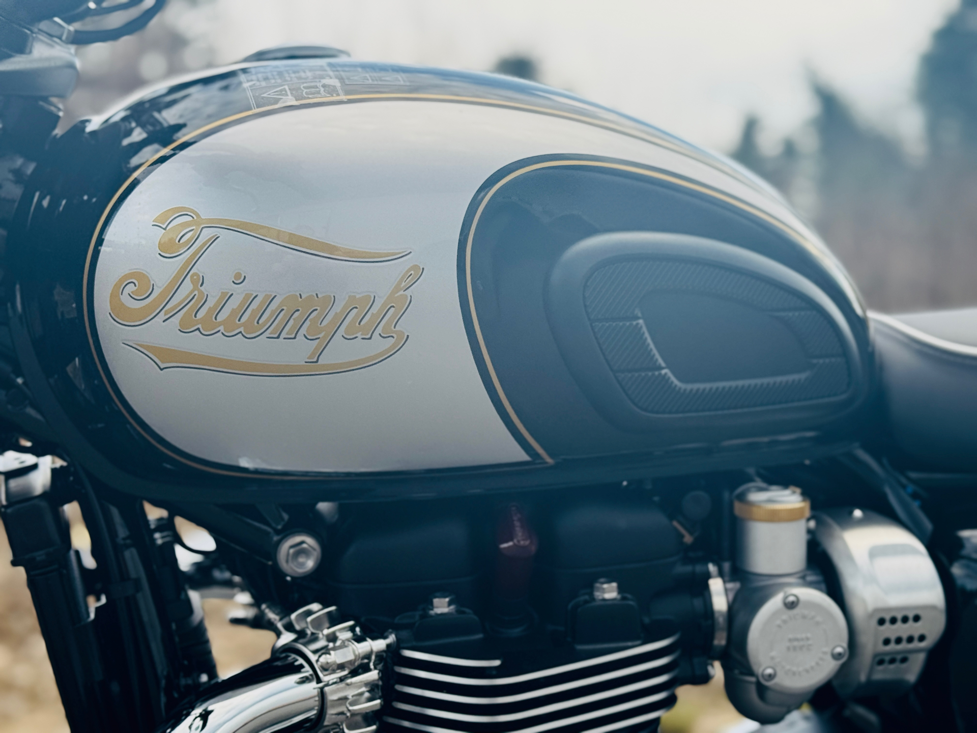 2025 Triumph Bonneville T120 in Foxboro, Massachusetts - Photo 4