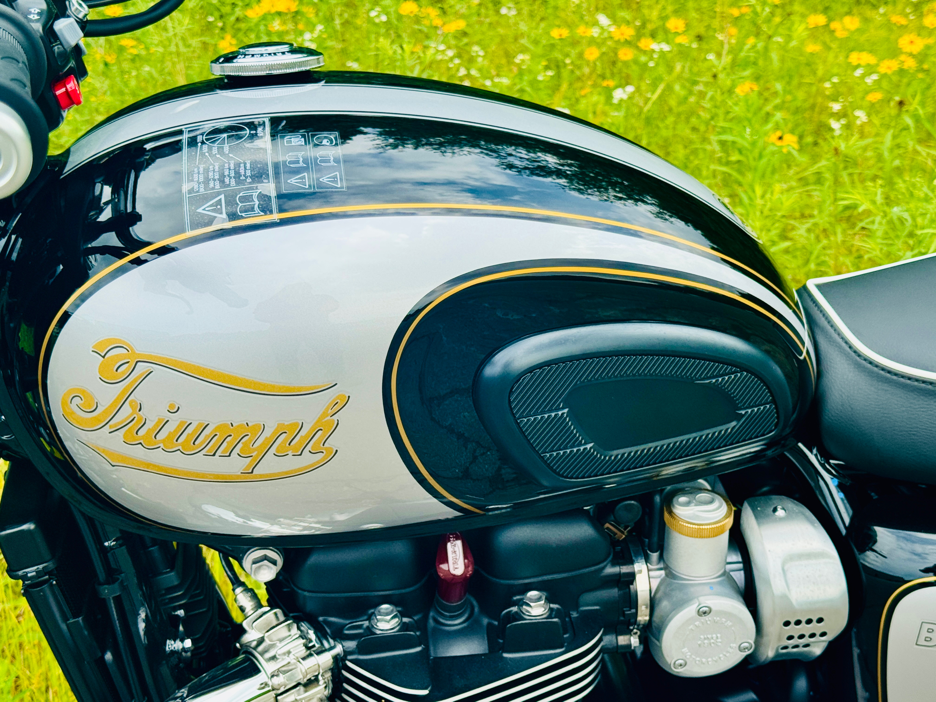 2025 Triumph Bonneville T120 in Foxboro, Massachusetts - Photo 2