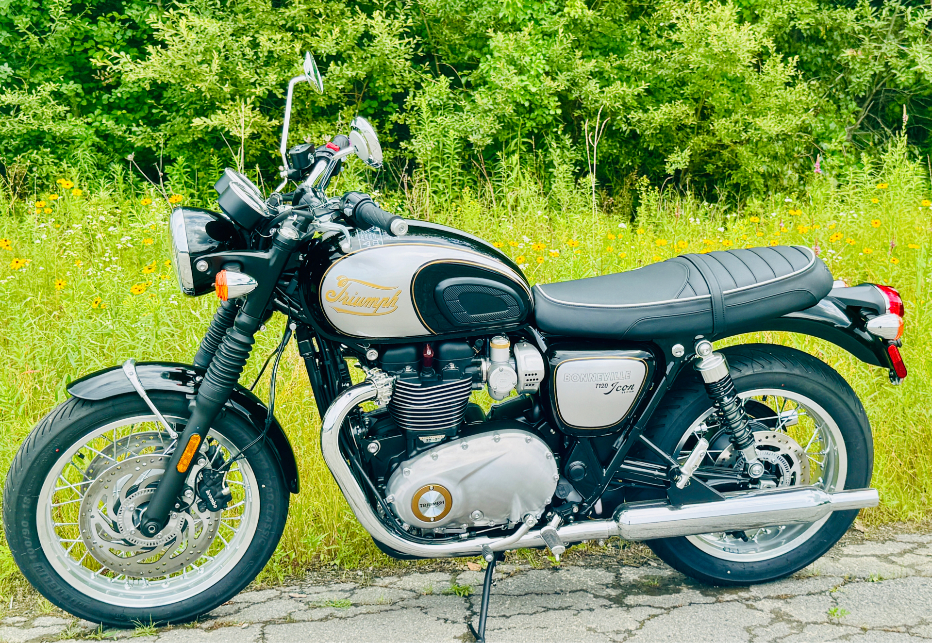 2025 Triumph Bonneville T120 in Foxboro, Massachusetts - Photo 1
