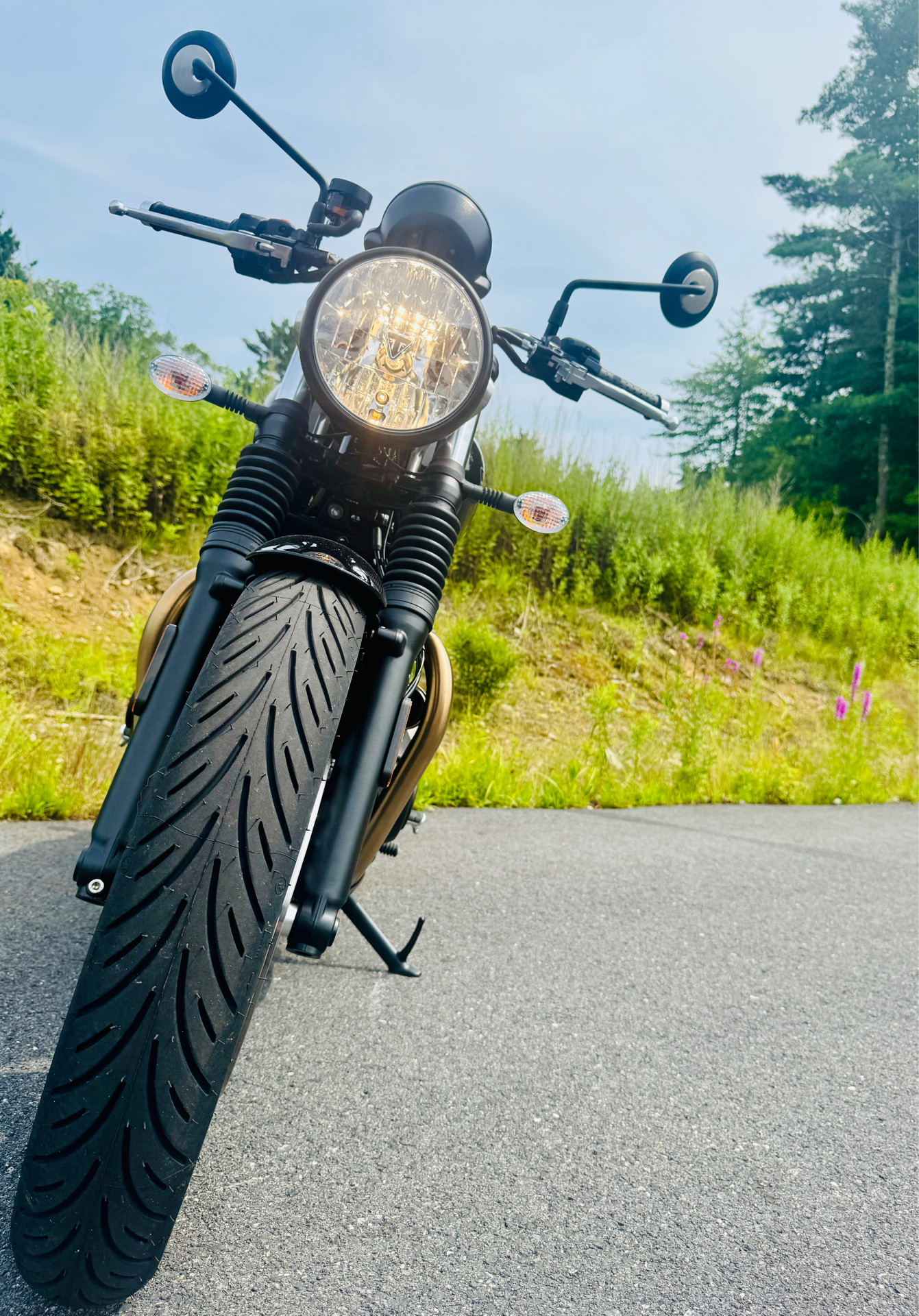 2024 Triumph Speed Twin 900 in Foxboro, Massachusetts - Photo 11