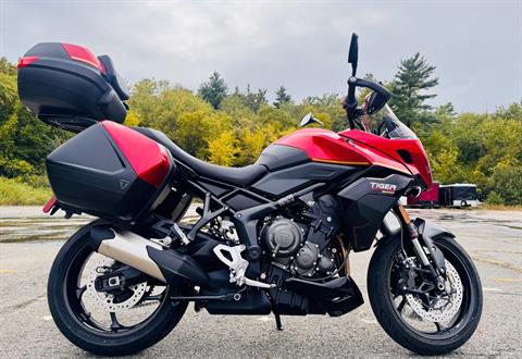 2026 Triumph Tiger Sport 800 Tour